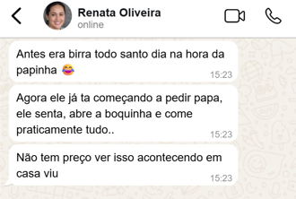 Print de conversa 1