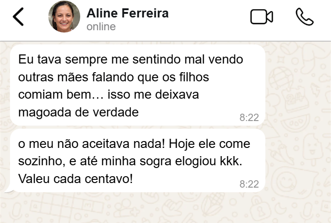Print de conversa 2